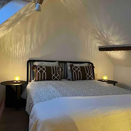 Cosy Center2 Apartment Antwerp